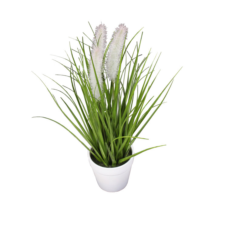 Highland Dunes 14'' Faux Snake Plant Grass in Pot Wayfair